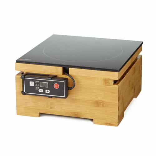 single induction heater